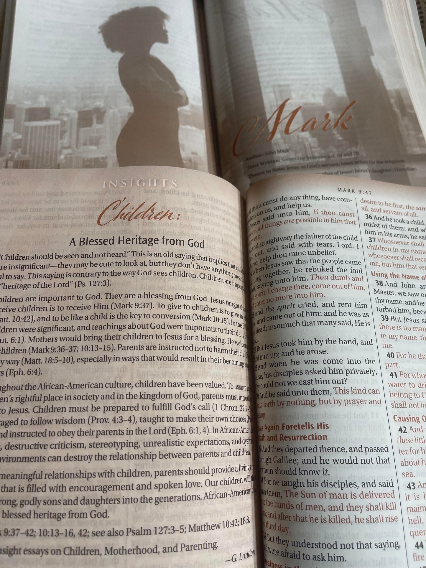 Women of Color Study Bible - Hardcover Edition x 24