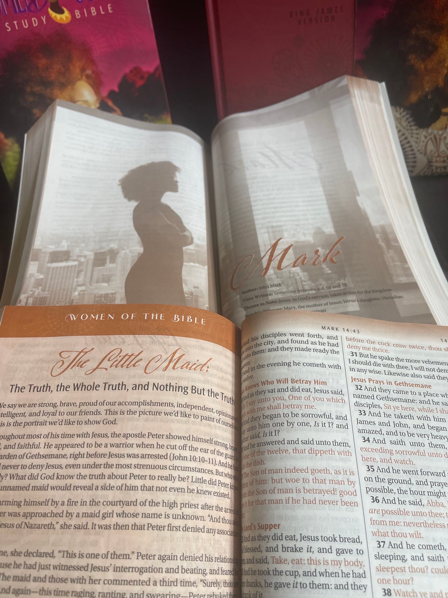 Women of Color Study Bible - Hardcover Edition x 24