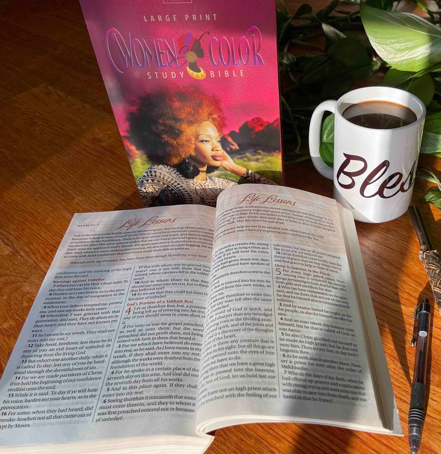 Women of Color Study Bible - Hardcover x 16