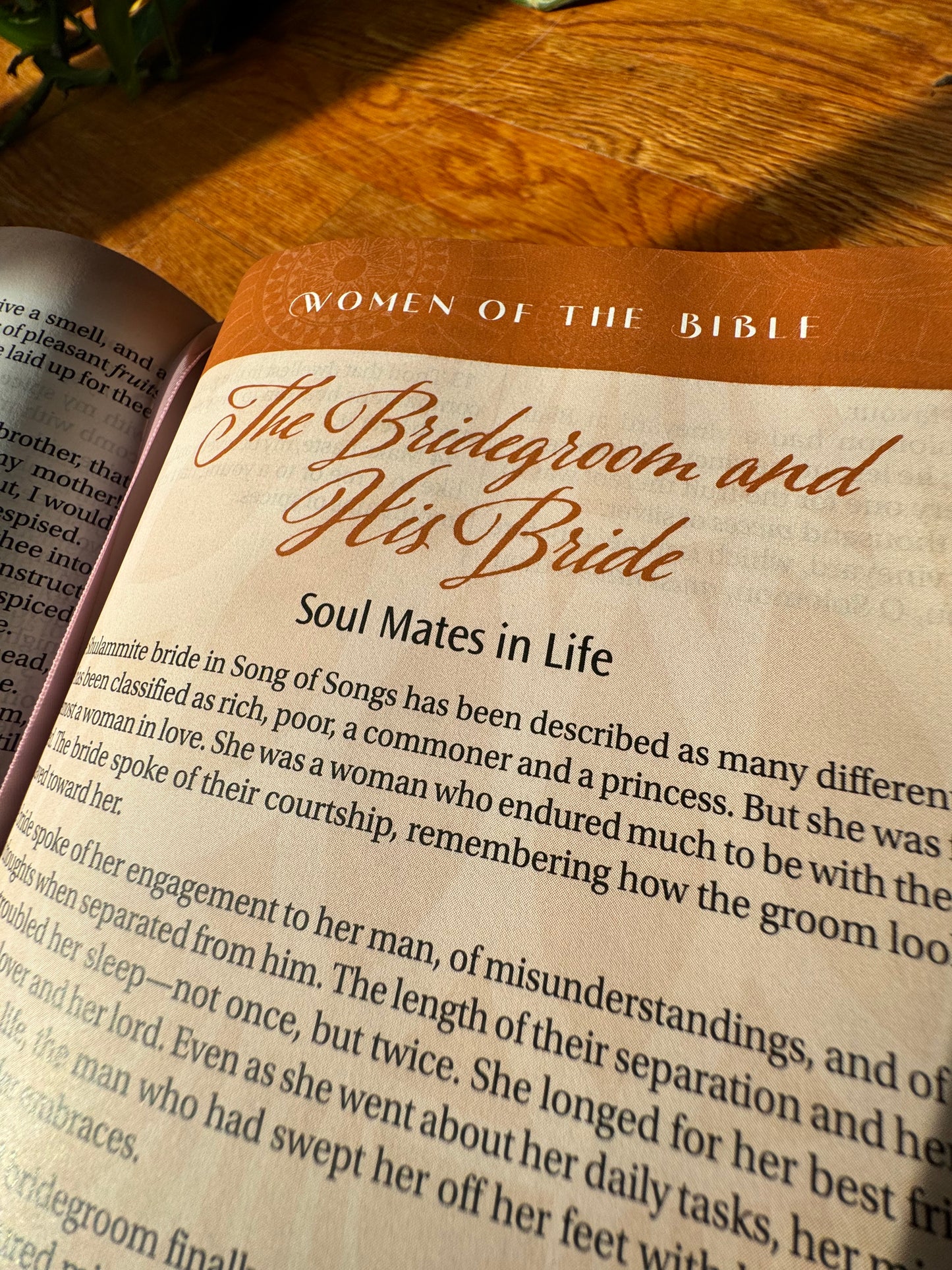 Women of Color Study Bible - Purple LuxLeather Softouch Edition