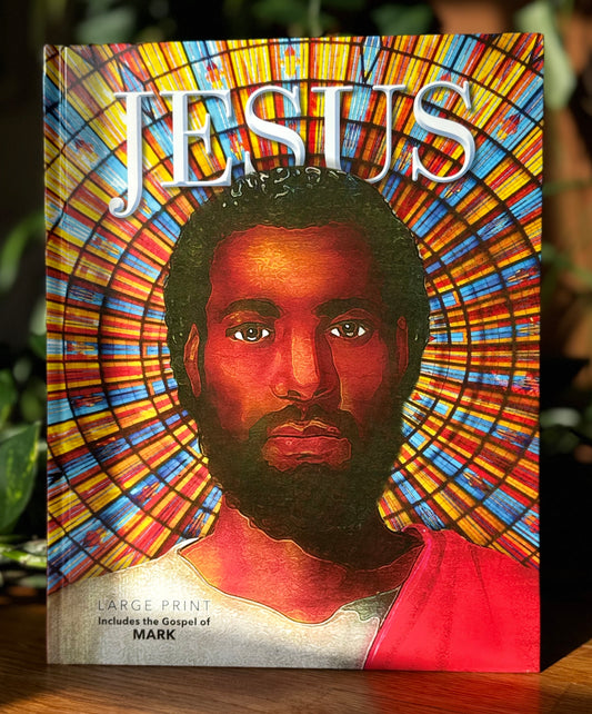 The Jesus Book - 24 Pack - Full Color - Coffee Table Sized Book